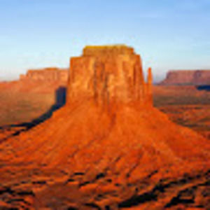 Meet your Posher, Brady